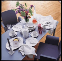 Villeroy & Boch Cellini Salad Plate -Quality Tableware Store 1046002610LS5