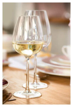 Villeroy & Boch Rose Garden Barware Collection Sets Of Four -Quality Tableware Store 1137258120LS5