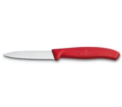 Victorinox Paring Knife 3.25 Inch, Straight/Non-Serrated -Quality Tableware Store 6.7631