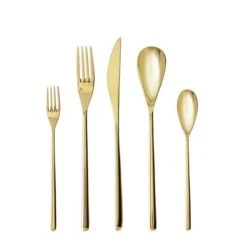 Fortessa DRAGONFLY 5pc Place Setting, SS -Quality Tableware Store FORTESSAdragonflygold