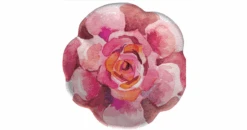 Merritt International Sweet Succulent Salad Plate -Quality Tableware Store merritt20854