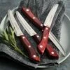 Tramontina Porterhouse Steak Knives, 4 Pc. -Quality Tableware Store tram80000 216